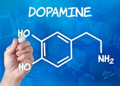 چگونه ترشح دوپامین را افزایش دهیم؟
