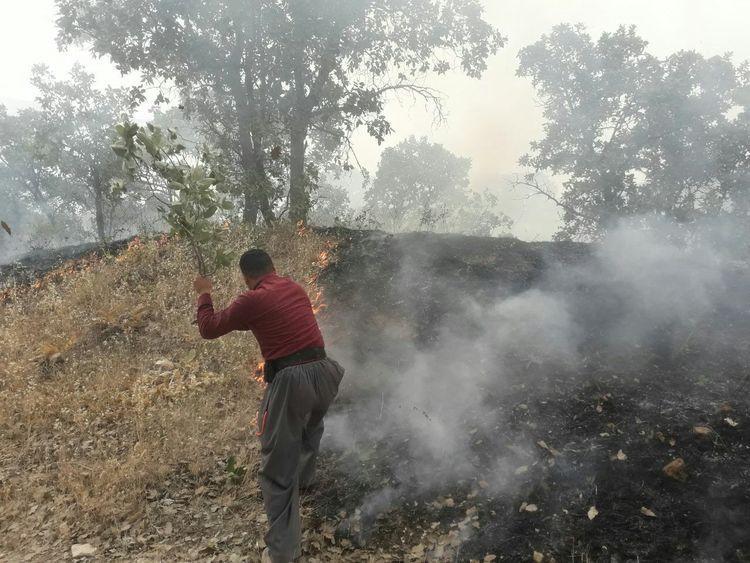 سه نفر در اثر آتش سوزی مراتع پاوه جان باختند سه نفر در اثر آتش سوزی مراتع پاوه جان باختند
