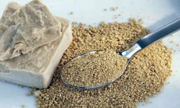 کیفیت موادغذایی با بهبوددهنده های ایرانی افزایش یافت