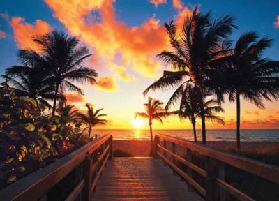 جزایر رویایی فلوریدا